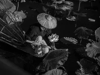 Awesome captions make better photos