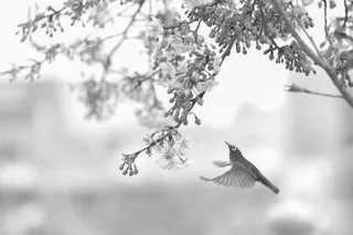 In a world of screens and dreams, digital design gleams!