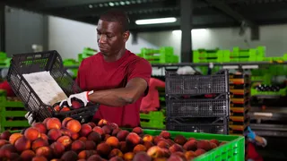 Wholesalers and Distributors