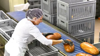 Manufacturers and Suppliers