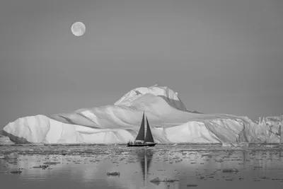 Image Right (Up; Scale 1.25)