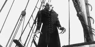 Video Full (Looping Inline BG Video)